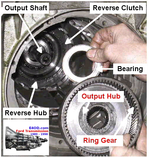 output hub and ring gear bearing